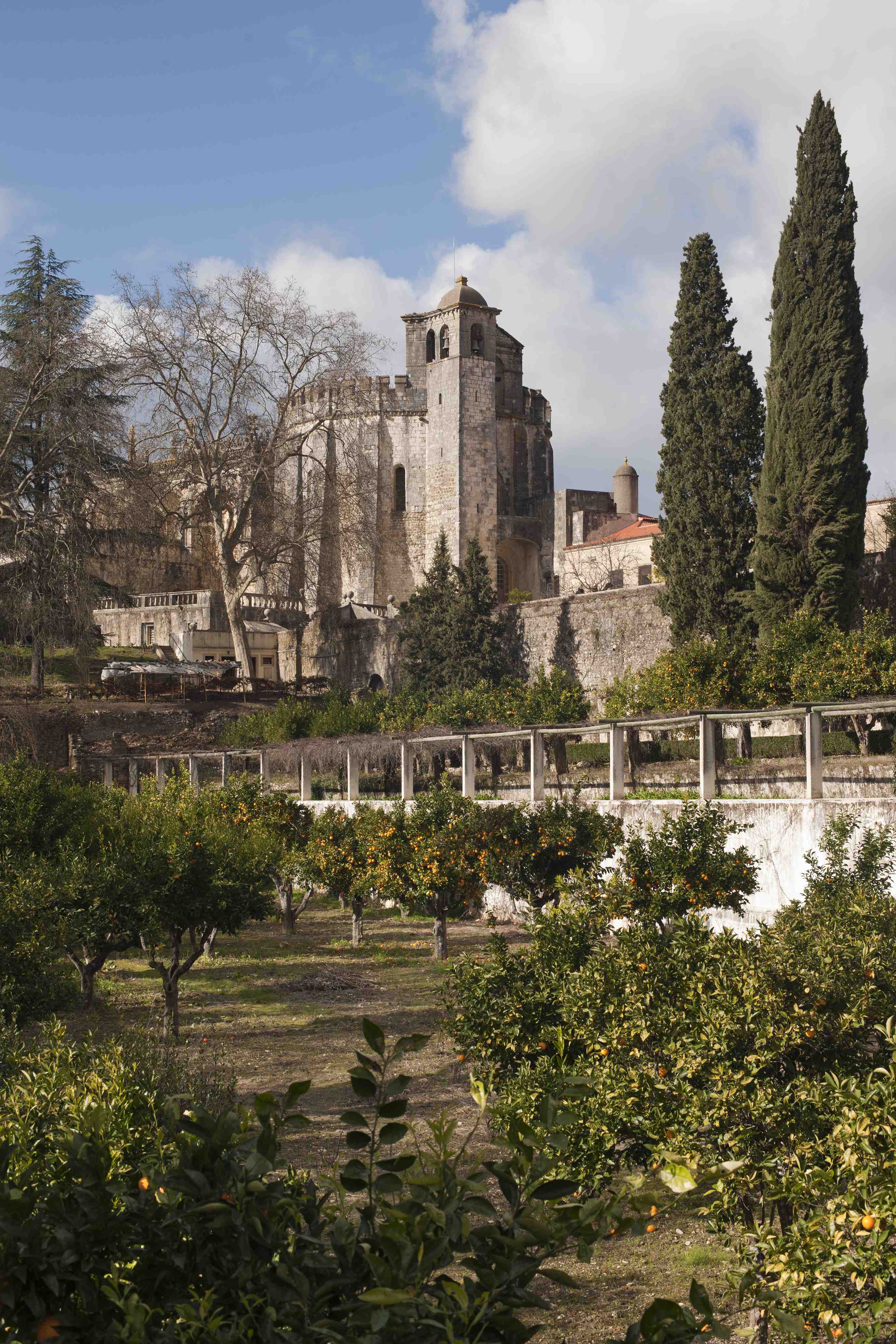 Orange groves or orchards Espinho, in which there remain testimonies of ancient Inside Village.