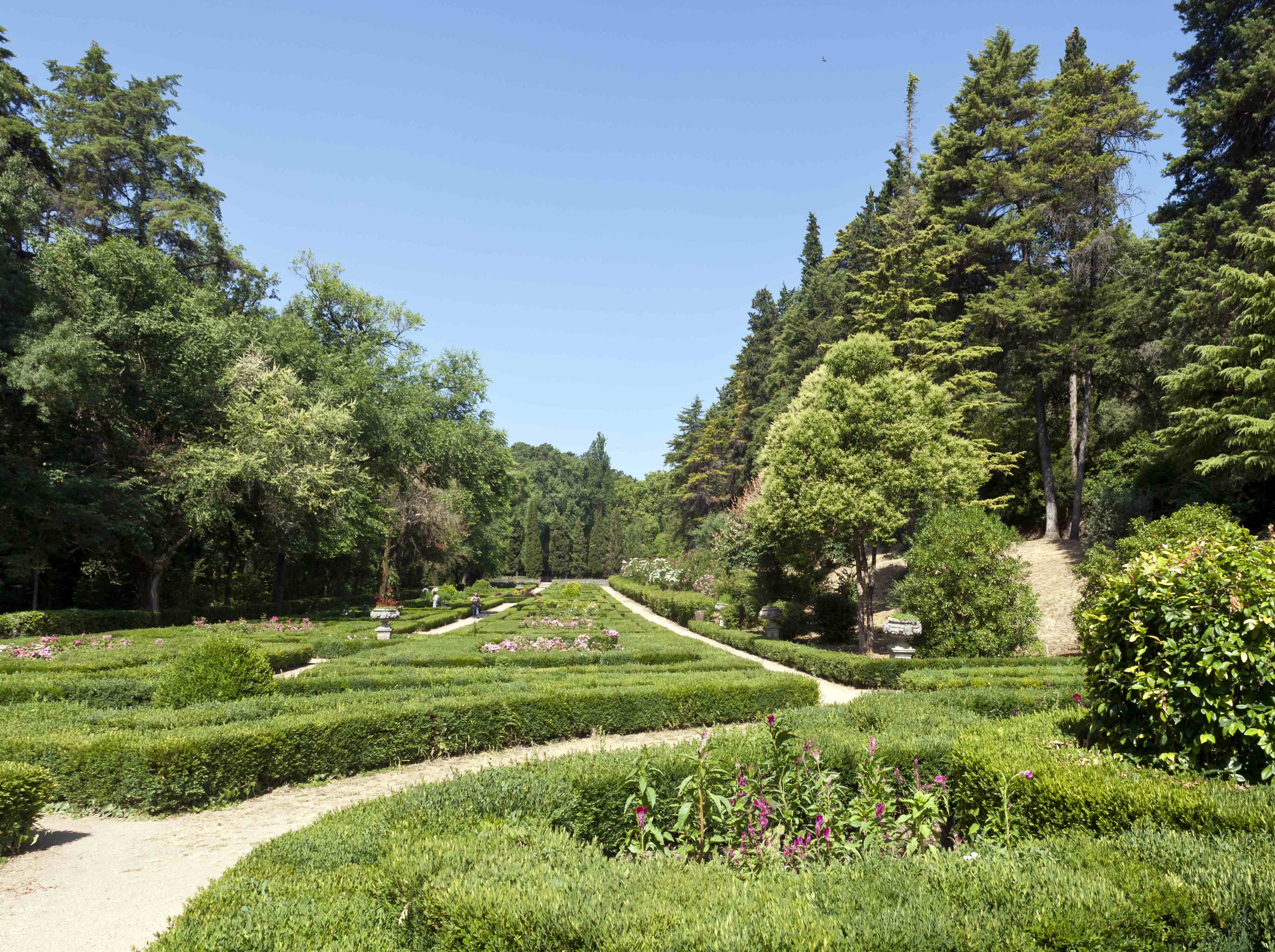 Nos anos 40 a Direção Geral dos Serviços Florestais e Agrícolas procedeu a várias intervenções na antiga cerca, plantando nas áreas de vale em tempo ocupadas por hortas e pomares o atual jardim formal.