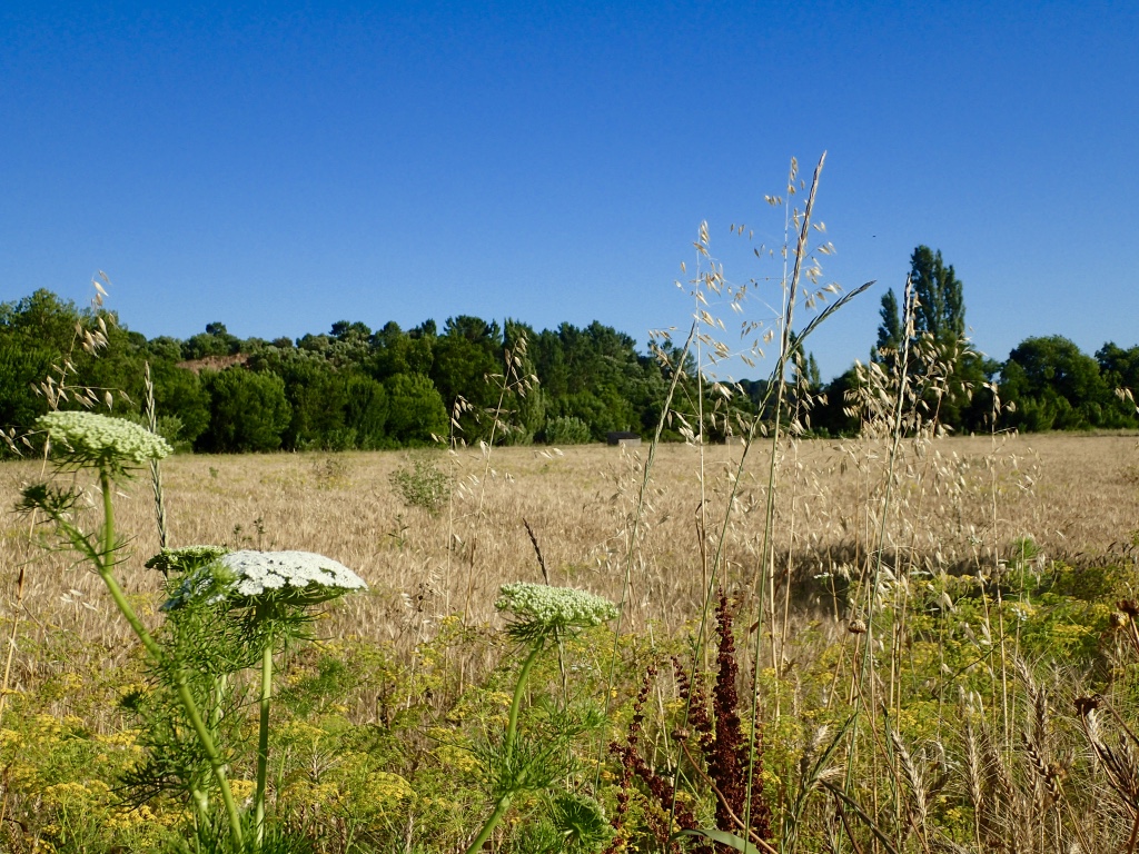 Floodplains and water line